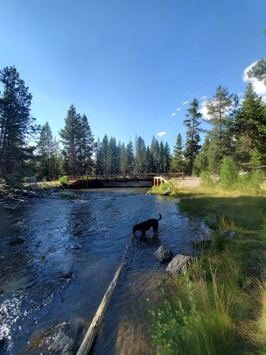 Cow Meadow Campground Picture 6