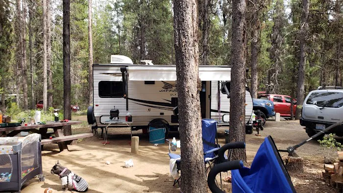 Crane Prairie Campground Picture 10