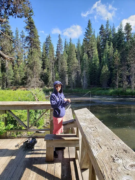 SHEEP BRIDGE Picture 6