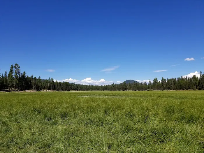 Sheep Bridge Campground Picture 6