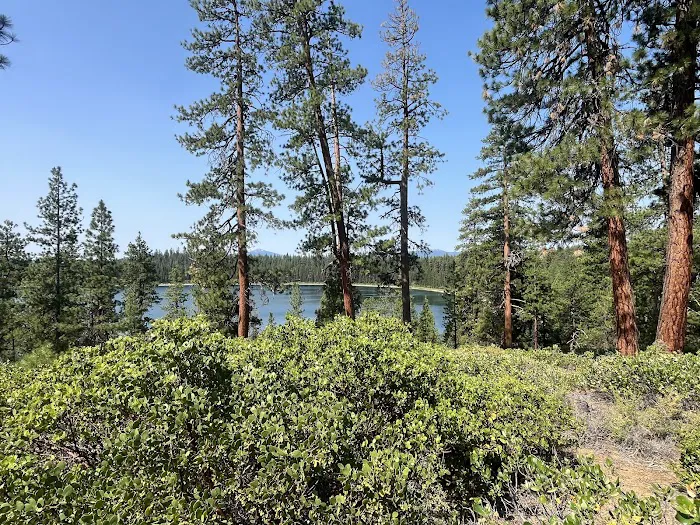 North Twin Lake Campground Picture 6
