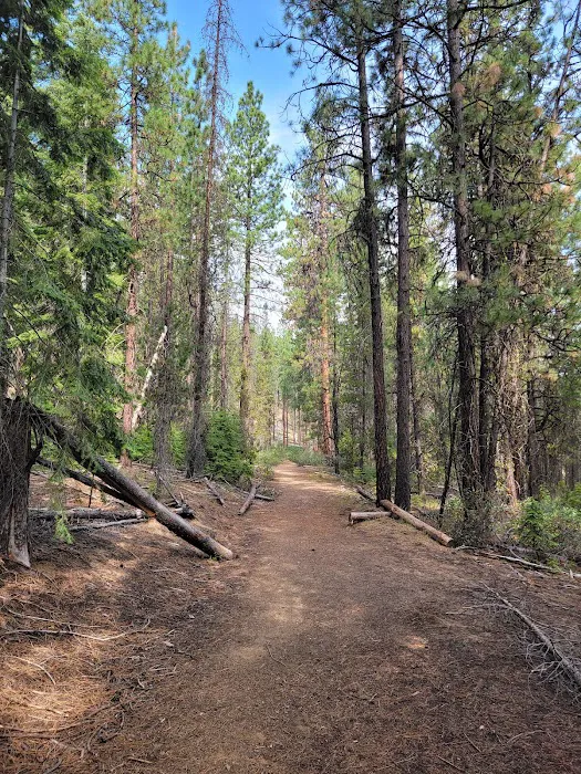 North Twin Lake Campground Picture 10