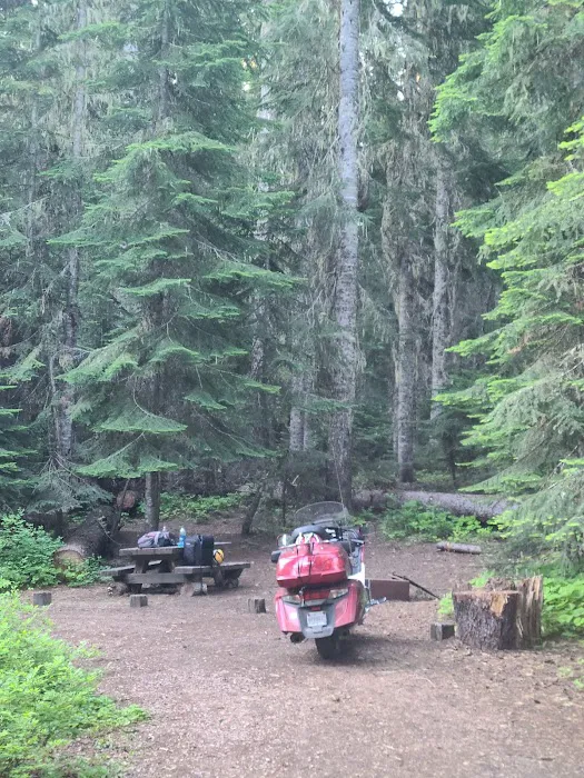 Gold Lake Campground Picture 6