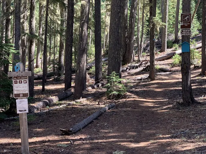 Gold Lake Campground Picture 9