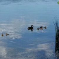 Gold Lake Campground ico