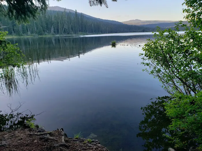 Gold Lake Campground Picture 10