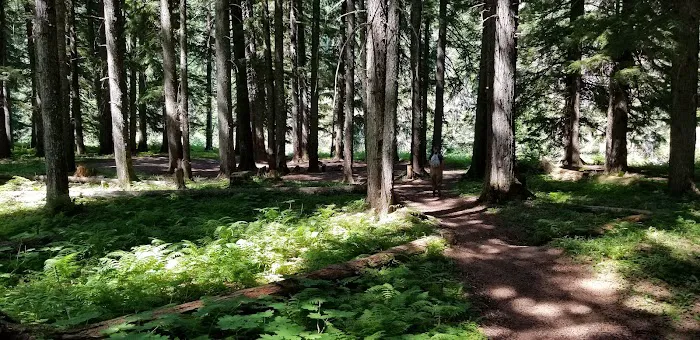 Sissons Campground Picture 7
