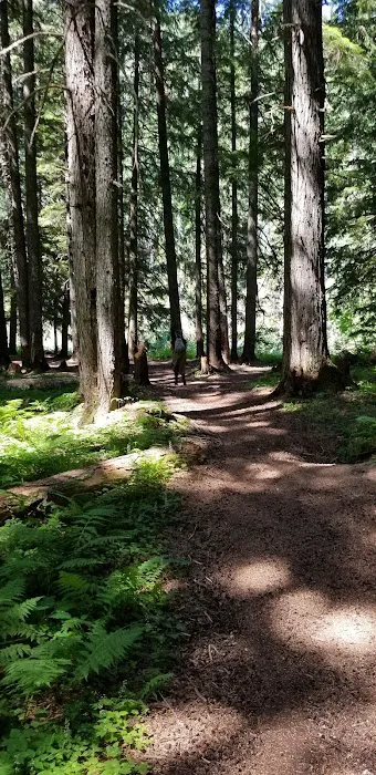Sissons Campground Picture 10