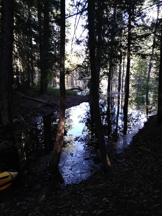 Spar Lake Campground Picture 10