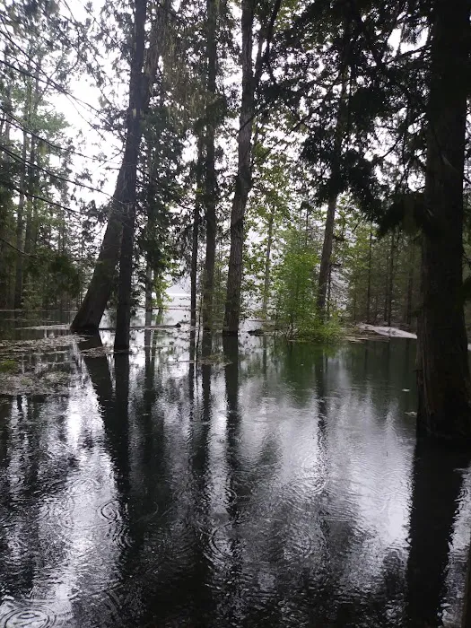 Spar Lake Campground Picture 6