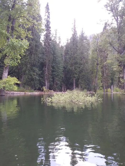 Spar Lake Campground Picture 4