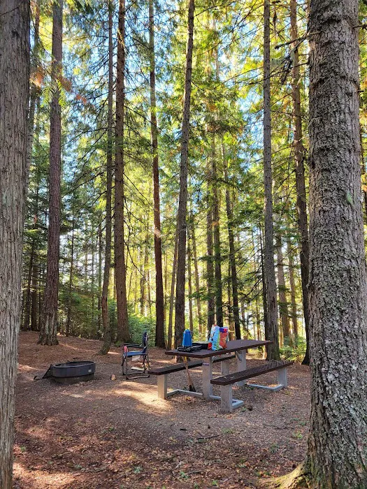 Bad Medicine Campground Picture 5