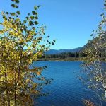 Bad Medicine Campground
