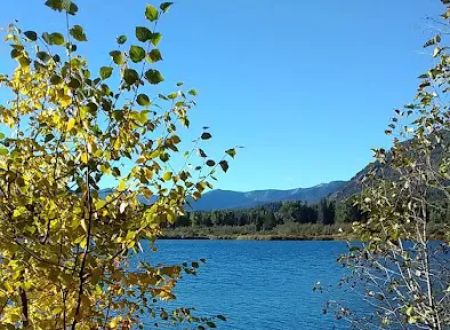 Bad Medicine Campground