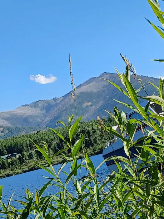 Bad Medicine Campground Picture 4