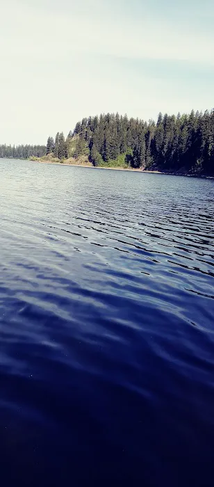 Big Eddy Campground Picture 2