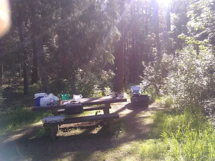Big Eddy Campground Picture 4