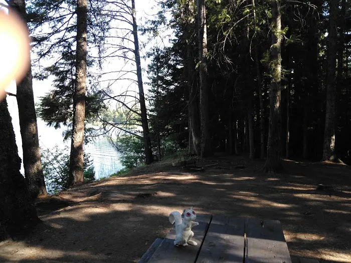 Dorr Skeels Campground Picture 1