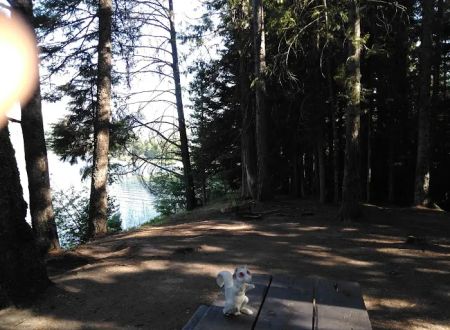 Dorr Skeels Campground