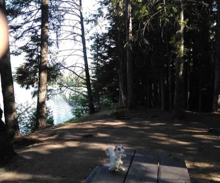 Dorr Skeels Campground