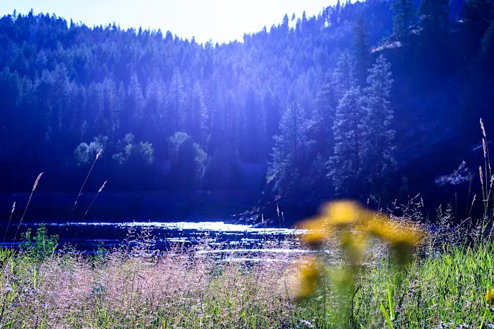 Dorr Skeels Campground Picture 7