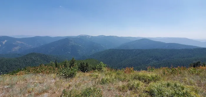 Big Creek Campground Picture 1