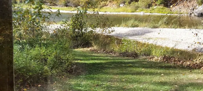 Huckleberry Campground Picture 2