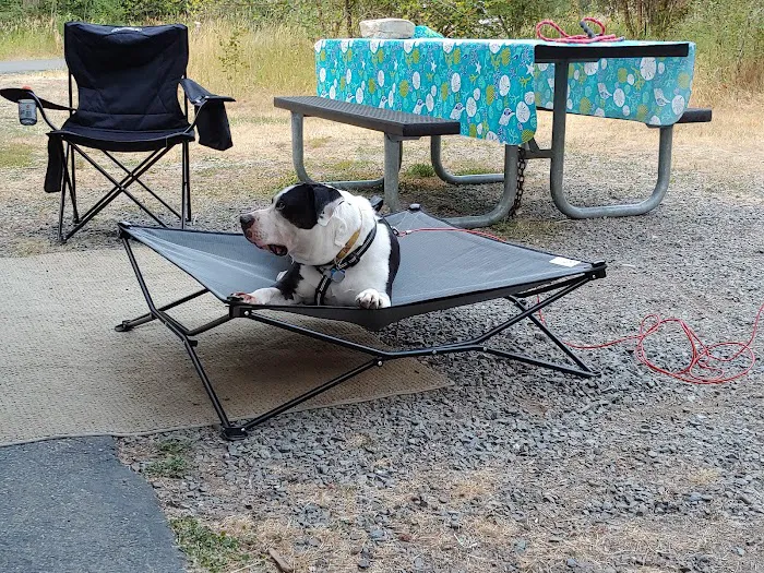 Huckleberry Campground Picture 3