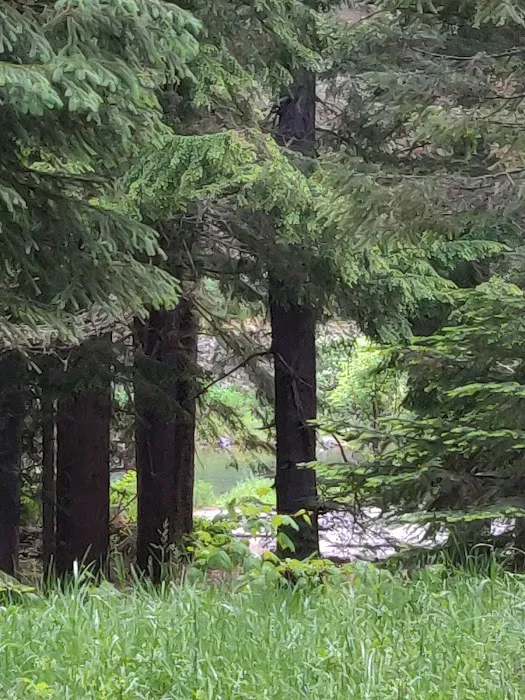 Avery Creek Cabin Picture 8