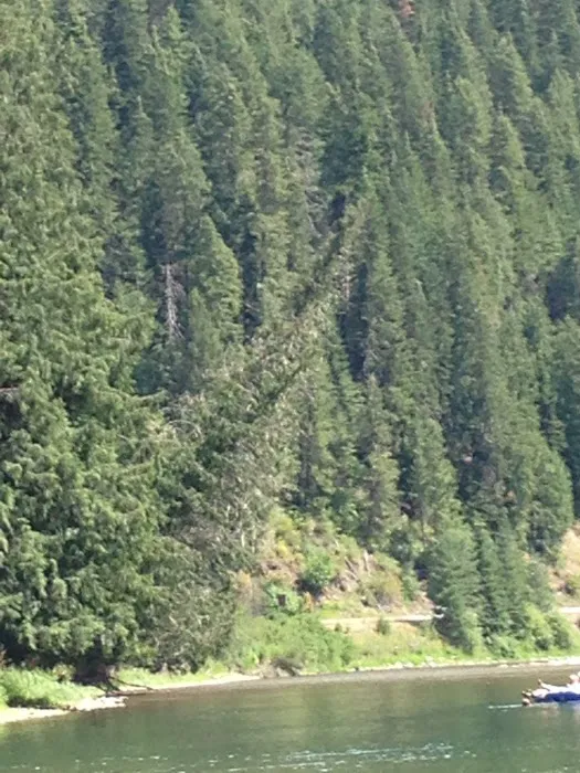 Avery Creek Cabin Picture 7