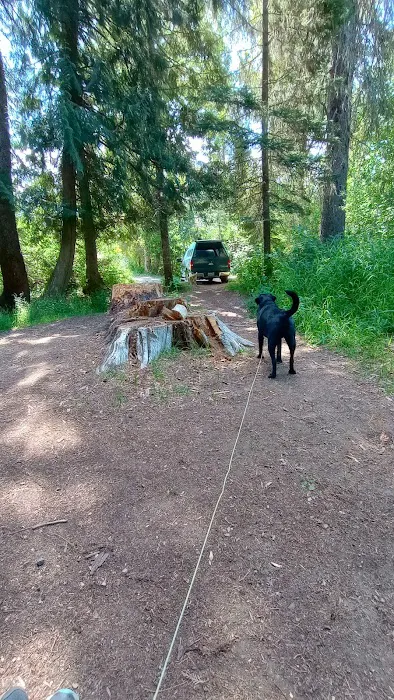 Cedar Creek Campground Picture 5