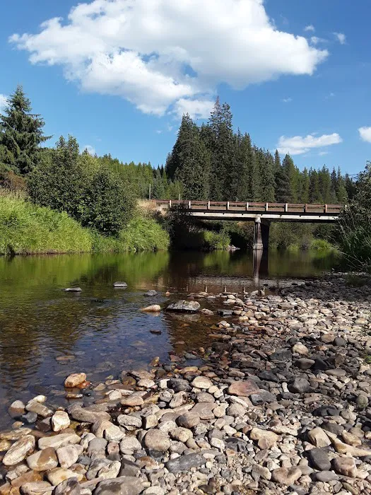 Cedar Creek Campground Picture 6