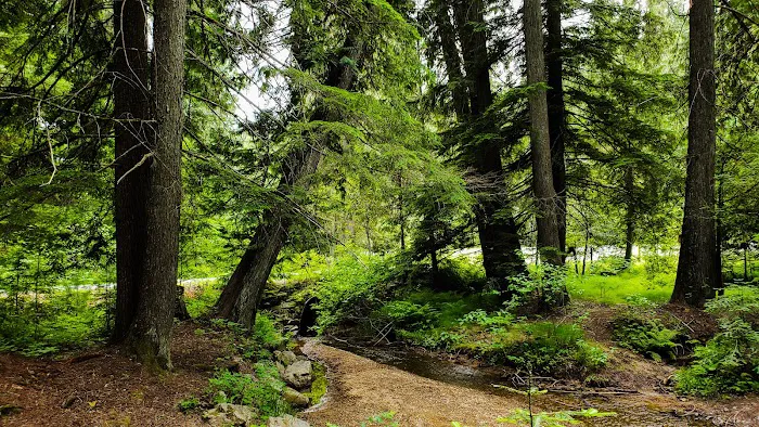 Giant White Pine Campground and Trailhead Picture 1