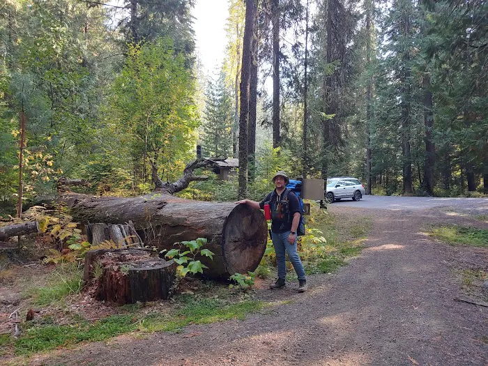 Giant White Pine Campground and Trailhead Picture 4