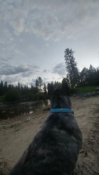 Laird Park Campground Picture 9