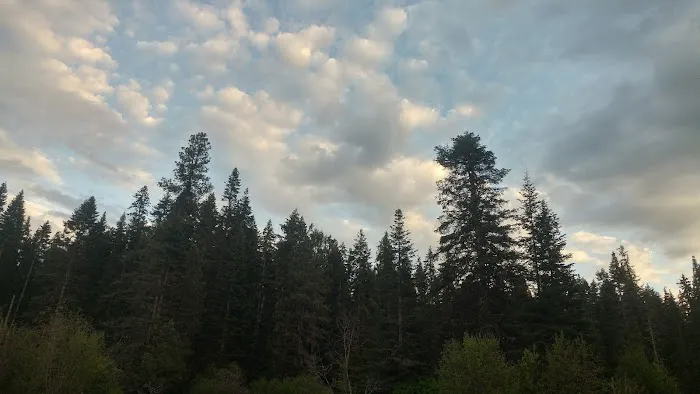 Laird Park Campground Picture 10