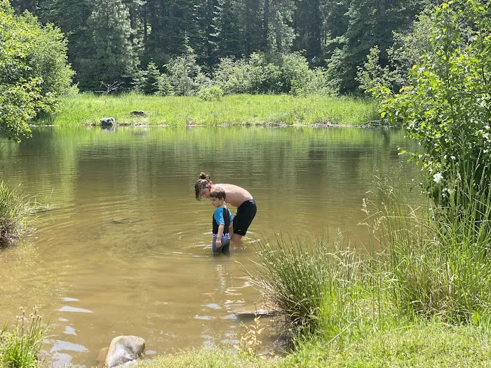Laird Park Campground Picture 4