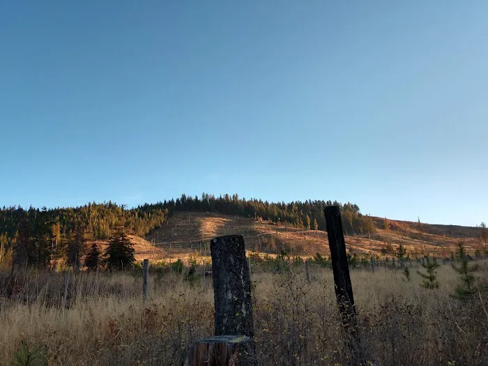 Laird Park Campground Picture 7