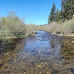 Laird Park Campground