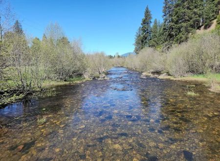 Laird Park Campground