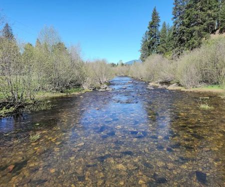 Laird Park Campground