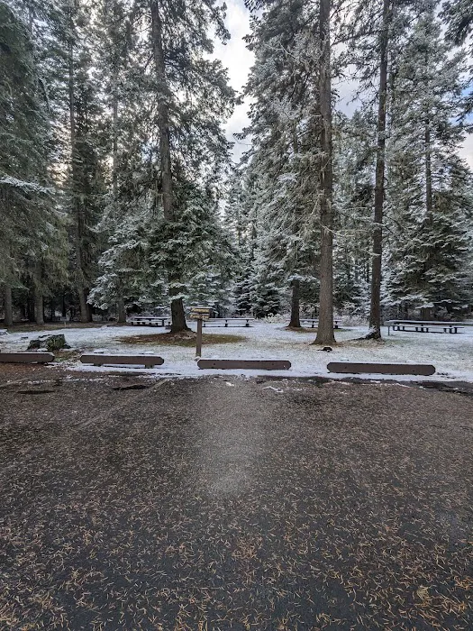 Laird Park Campground Picture 5