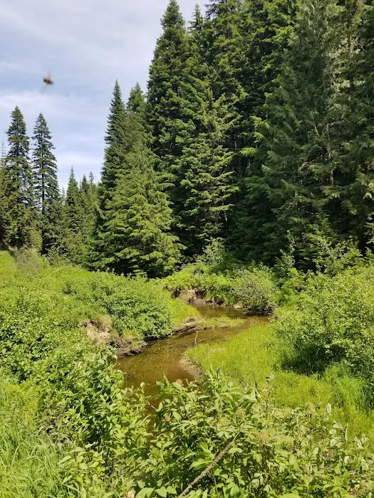 Emerald Creek Campground Picture 2