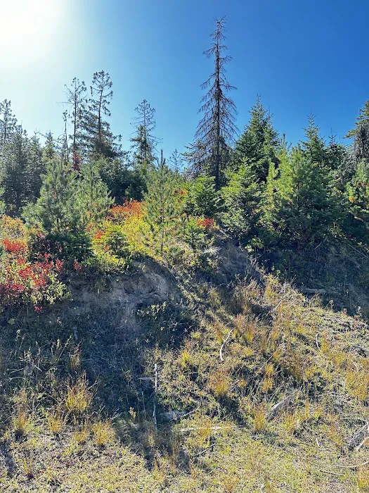 Moose Creek Campground Picture 8