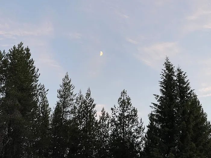 Moose Creek Campground Picture 2