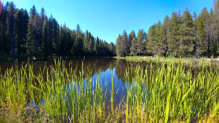 Moose Creek Campground Picture 6