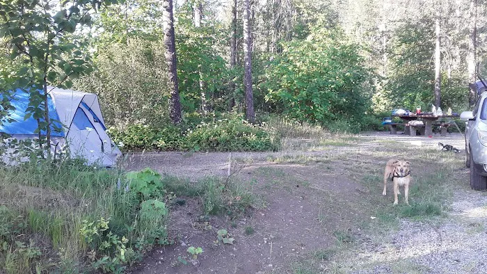 Brush Lake Campground Picture 9