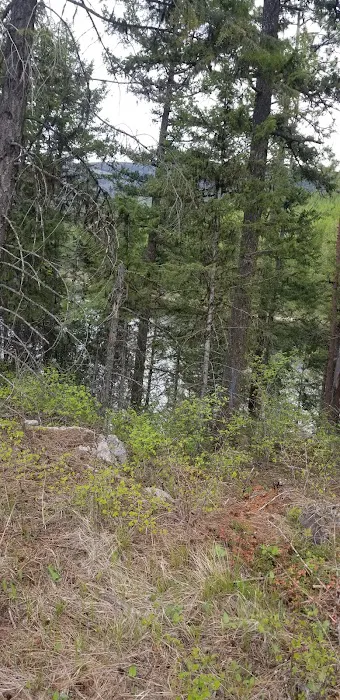 Brush Lake Campground Picture 7