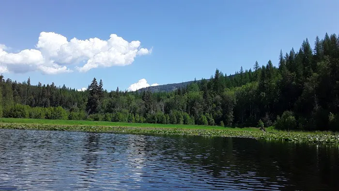 Brush Lake Campground Picture 10