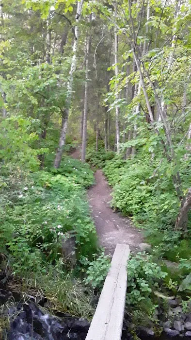 Brush Lake Campground Picture 6
